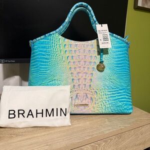 Cotton Candy Brahmin